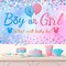 Gender Reveal Baby Balloon Boxes Decorations, Pink Blue Balloon Arch Garland Kits With 4pcs Boxes, Gender Reveal Backdrop for Baby Shower,Boy or Girl gender Reveal Party Supplies(141pcs)